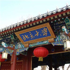 2007年北京大學(xué)項(xiàng)目